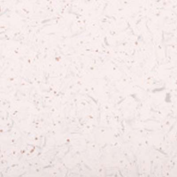 Picture of Roppe - SafeTCork Vinyl Tile 36 X 36 White Iceberg
