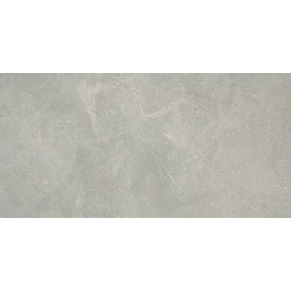 Picture of Emser Tile - Realm II 12 x 24 Domain