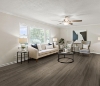 Picture of Beau Flor - Innovious Curio Cypress Pine 699D
