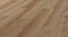 Picture of Urban Floor - Cascade Catawba