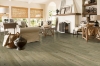 Picture of Robbins - TimberTru Established Style Nautical Past