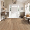 Picture of Robbins - TimberTru Valley Terrain Nostalgic Neutral