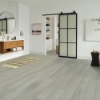 Picture of Robbins - Ingenious Plank Spring Mist