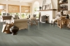 Picture of Robbins - Ingenious Plank Spring Mist