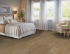 Picture of Robbins - Coastside 7.5 La Jolla Shores