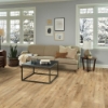 Picture of Robbins - TimberTru Established Style Nuanced Brown