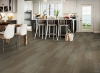 Picture of Robbins - Ingenious Plank Shoreline