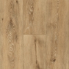 Picture of Robbins - TimberTru Pacific Path Reign Sunshine
