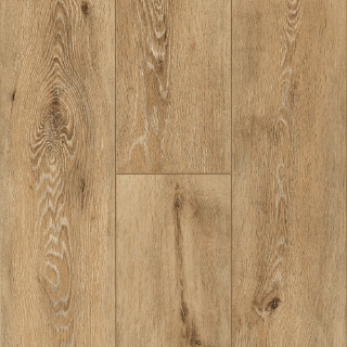 Picture of Robbins - TimberTru Pacific Path Reign Sunshine