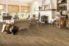 Picture of Robbins - TimberTru Pacific Path Reign Sunshine