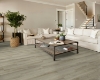 Picture of Shaw Floors - Prominence Plus French Oak
