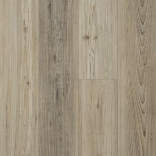 Picture of Shaw Floors - Prominence Plus Light Pine