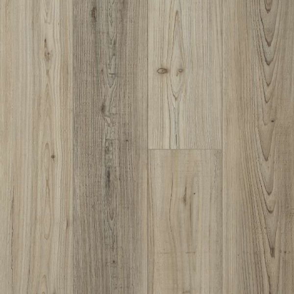 Picture of Shaw Floors - Prominence Plus Light Pine