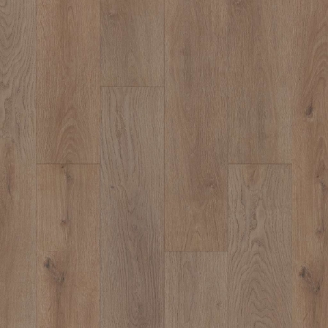 Picture of Shaw Floors - Prominence Plus Villa Oak