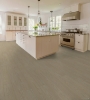 Picture of Shaw Floors - Prominence Plus Earthy Taupe