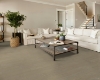 Picture of Shaw Floors - Prominence Plus Earthy Taupe