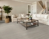 Picture of Shaw Floors - Prominence Plus Misty Grey