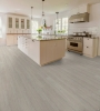 Picture of Shaw Floors - Prominence Plus Misty Grey