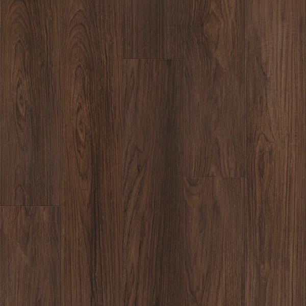 Picture of Shaw Floors - Prominence Plus Burnt Umber