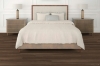 Picture of Shaw Floors - Prominence Plus Burnt Umber