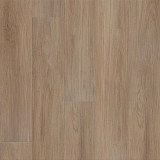 Picture of Shaw Floors - Prominence Plus Hazelnut Brown