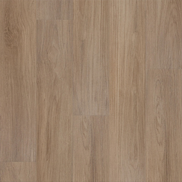 Picture of Shaw Floors - Prominence Plus Hazelnut Brown