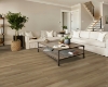 Picture of Shaw Floors - Prominence Plus Hazelnut Brown