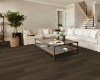 Picture of Shaw Floors - Prominence Plus Barrel Oak