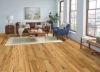 Picture of Bruce - Brushed Impressions Bronze Subtle Spring