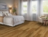 Picture of Bruce - Brushed Impressions Bronze Subtle Spring