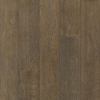Picture of Bruce - Brushed Impressions Bronze Coastal Outskirt