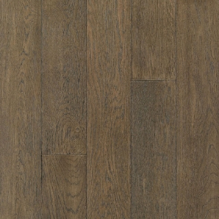 Picture of Bruce - Brushed Impressions Bronze Coastal Outskirt