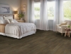 Picture of Bruce - Brushed Impressions Bronze Coastal Outskirt