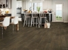 Picture of Bruce - Brushed Impressions Bronze Coastal Outskirt