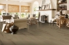 Picture of Bruce - Brushed Impressions Silver Winter Respite