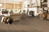 Picture of Bruce - Barnwood Living Solid 4 Summers