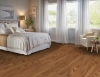 Picture of Bruce - Dundee Plank 3 1/4 Butterscotch