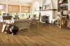 Picture of Bruce - Dundee Plank 3 1/4 Seashell