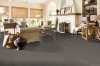 Picture of Bruce - Dundee Plank 3 1/4 Low Gloss Seaside Calm
