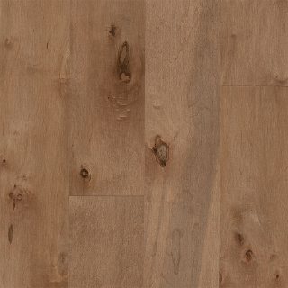 Picture of Bruce - Early Canterbury Densitek Tudor Tan