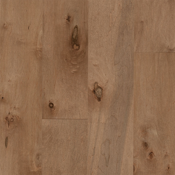 Picture of Bruce - Early Canterbury Densitek Tudor Tan