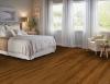 Picture of Bruce - Manchester Plank Gunstock
