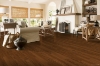 Picture of Bruce - Manchester Plank Low Gloss Extra Spice