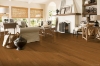 Picture of Bruce - Manchester Plank Low Gloss Royal Ginger