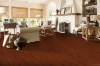 Picture of Bruce - Natural Choice Strip Amber