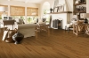 Picture of Bruce - Natural Choice Strip Desert Natural