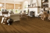 Picture of Bruce - Natural Choice Strip Spice