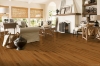 Picture of Bruce - Natural Choice Strip Low Gloss Butter Rum Toffee