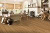 Picture of Bruce - Natural Choice Strip Low Gloss Natural
