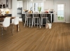 Picture of Bruce - Natural Choice Strip Low Gloss Natural